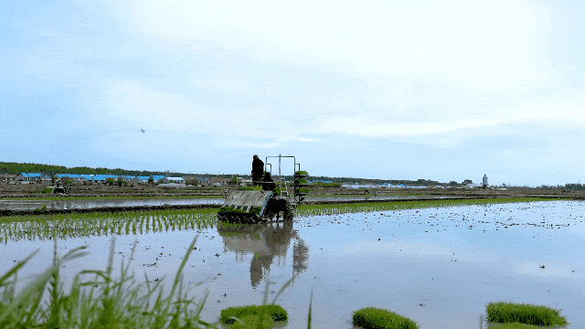 黑土777.gif